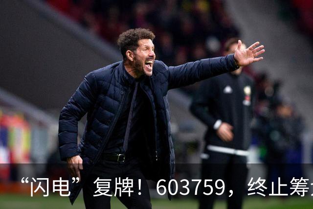 “闪电”复牌!603759,终止筹划重大事项